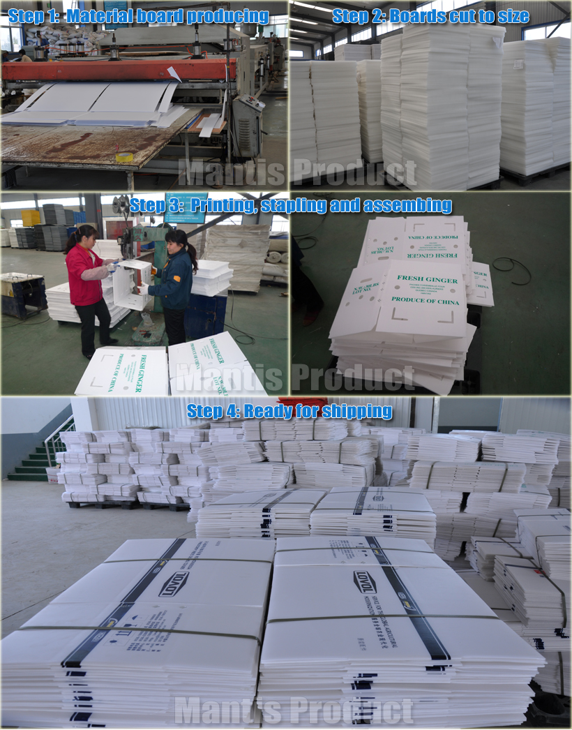 Vegetableandfruitpackagingbox04