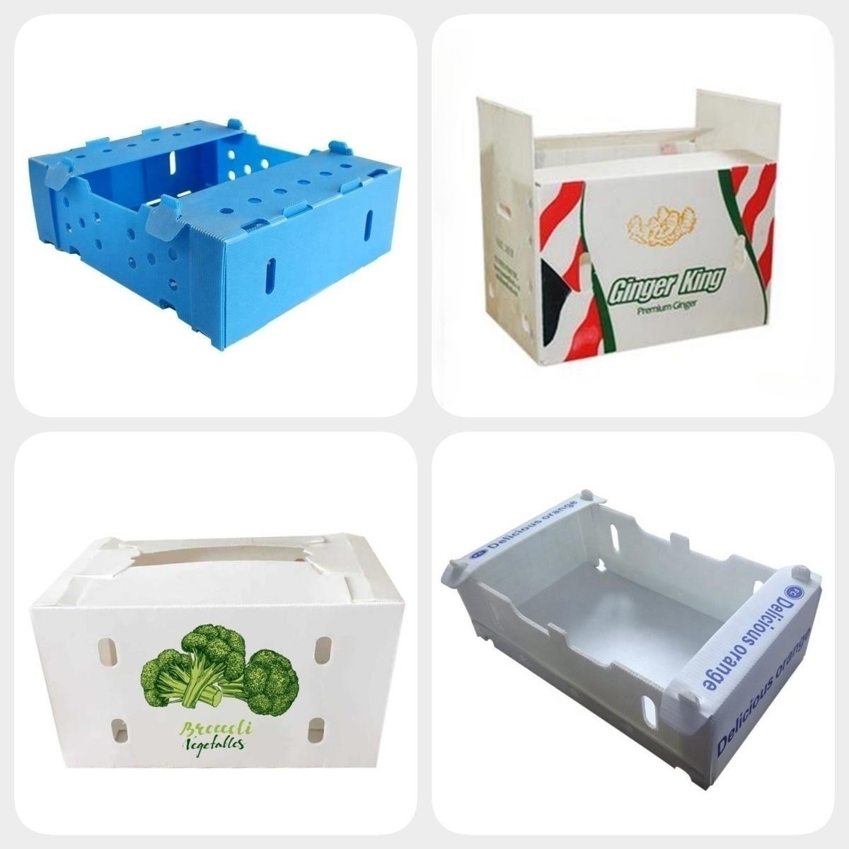 Recycling PP Corrugated Boxes