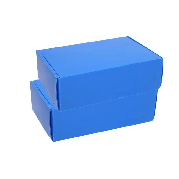 Mantis PP Hollow Plastic Boxes