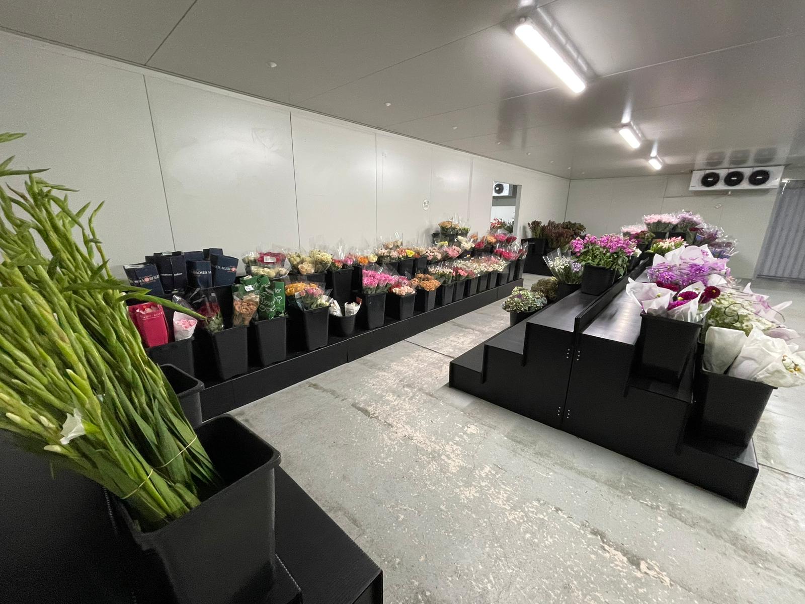 Mantis PP Corrugated Flower Display Stands