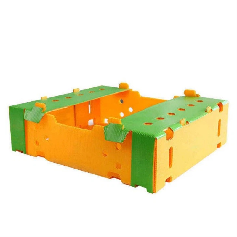 corrugated-plastic-box-for-fruits-and1104f_副本 corrugated-plastic-box-for-fruits-and1104f_副本