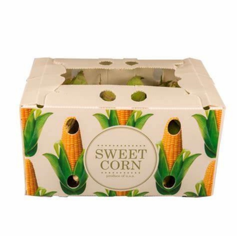 corrugated plastic box1 corrugated plastic box1